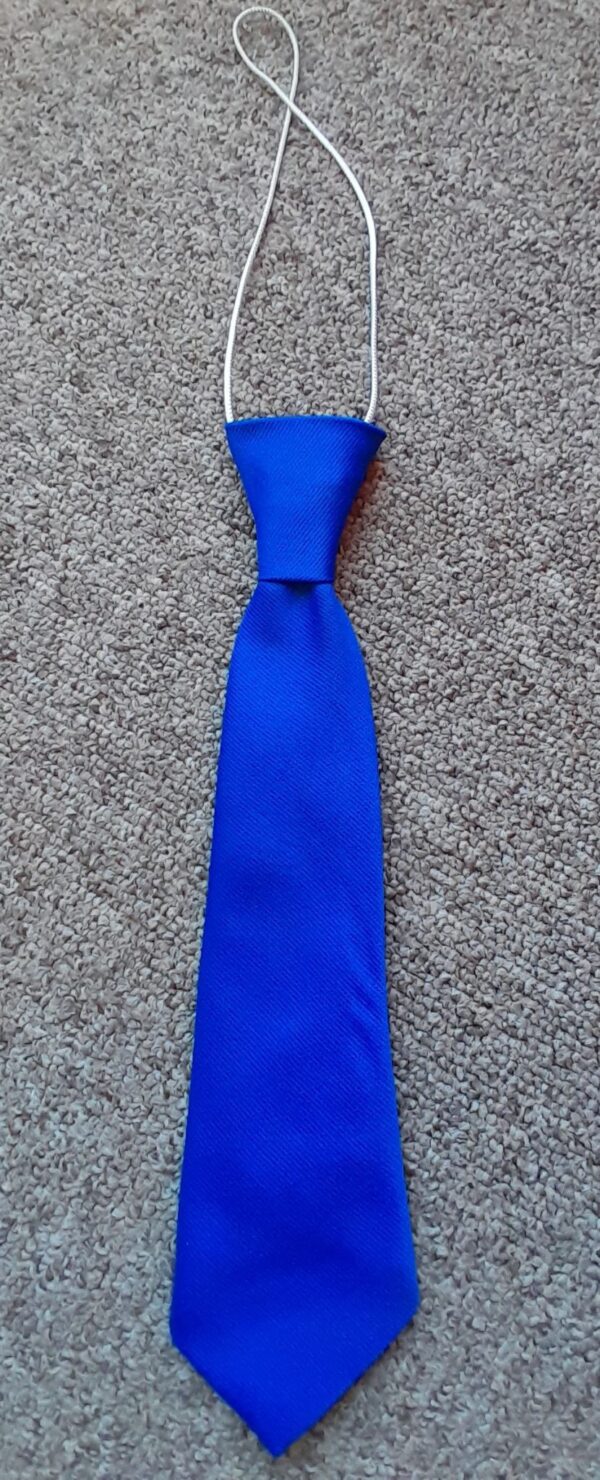 New Newfield Park Elasticated Tie